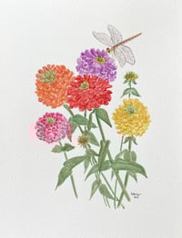 Image 1 of Zinnia explosion- original artwork