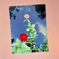 Image 4 of Photo Prints