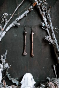 Image 6 of Copper Leg Bone earrings