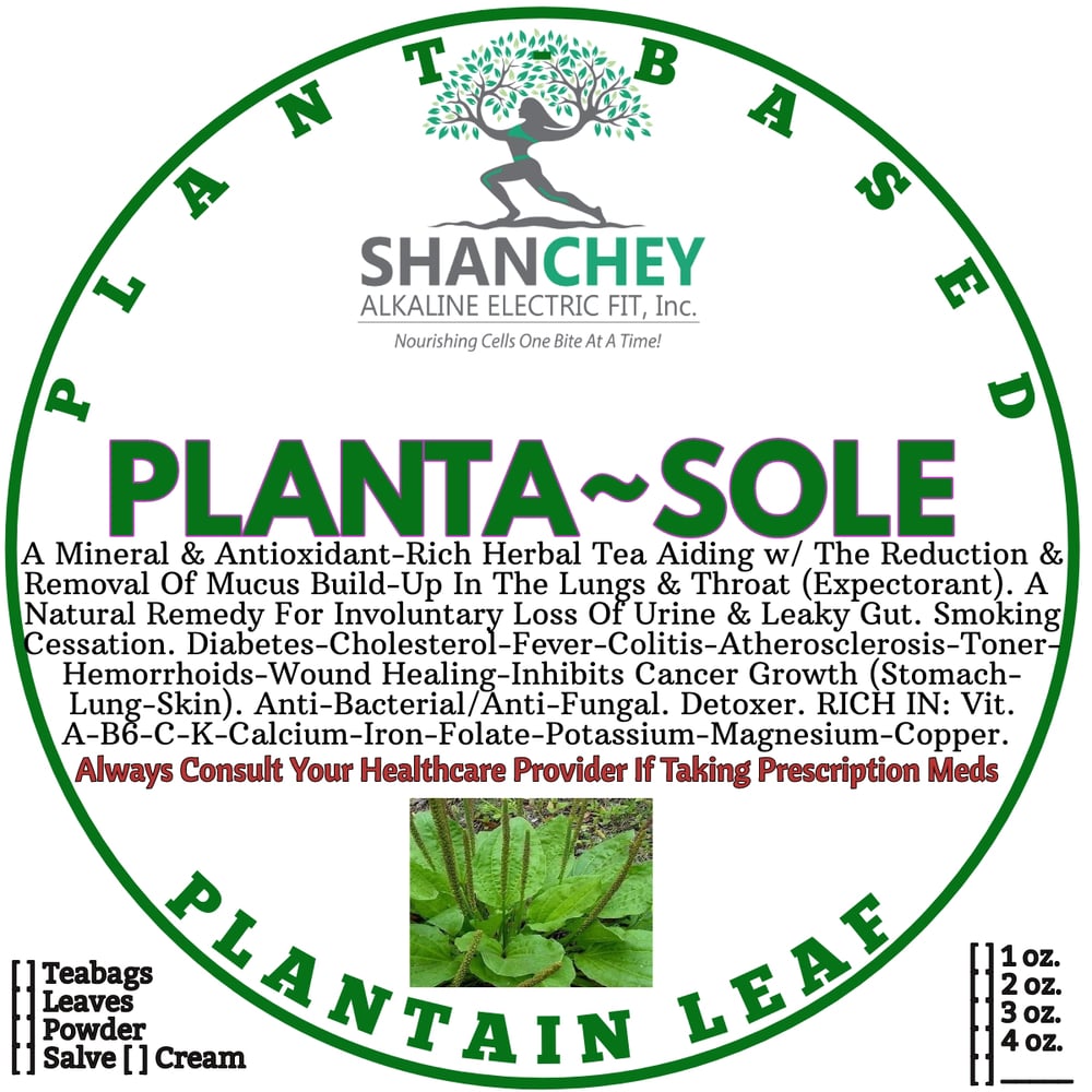 PLANTA-SOLE! Leaky Gut-Smoking-Toner-Bleeding-Skin Conditions-Respiratory-Autoimmune-Mosquitoes