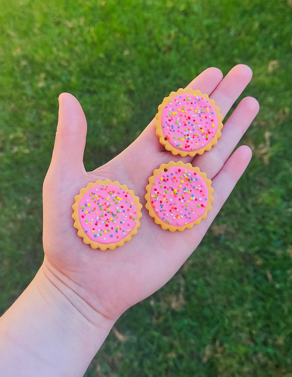 Hundreds and Thousands Biscuit Earrings 