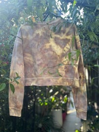 Image 2 of Brown ice dyed women’s tie dye cropped crew neck size S 