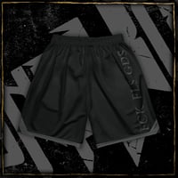 Image 3 of Grey Logo Unisex mesh shorts copie