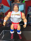 WWE Mattel Superstars Masters of the Universe Series 5 Rowdy Roddy Piper