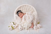 Image 5 of Girl's Newborn Session 