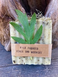 Image 1 of Usnea & Mugwort Wild Foraged Soap