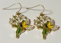 bee lilies 