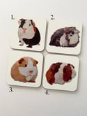 Rocket & Co. Guinea Pig mugs and coasters 