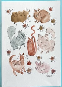 Funky Pets- blank card 2