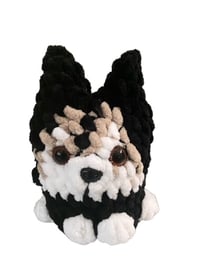 Image 3 of Little husky