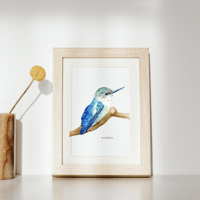 Image 3 of Little Bee Hummingbird Watercolour-Print
