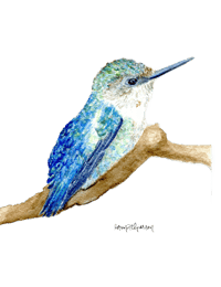 Image 4 of Little Bee Hummingbird Watercolour-Print