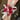 Corsage