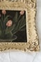 Image of tulip i