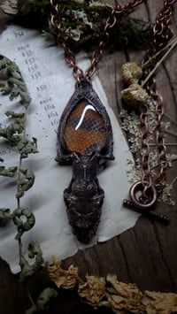 Image 1 of Milksnake Skin and Skull Amulet