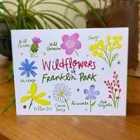 Image 1 of Wildflowers of Franklin Park Note Card