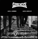 Gameness - FLR-01/CNN010 