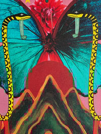 Image 2 of Transformation of the Serpent