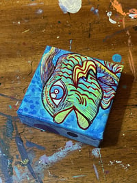 Image 3 of Bubblefish