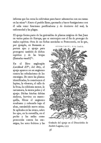 Image 4 of PDF Artemisa y ajenjo | herbarium veneficii I (Artículo digital)