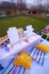 Indoor/Outdoor Luxury Picnic (Location of your choice) Image 5