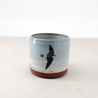 Image 2 of House Martins Cup