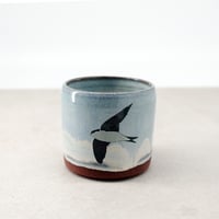 Image 3 of House Martins Cup