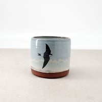 Image 5 of House Martins Cup