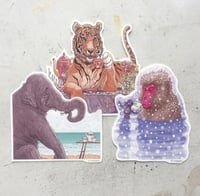 Image 1 of Animals Drinking Tea 3 Pack STICKER COMBO