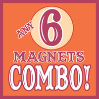 ANY 6 Magnets COMBO!