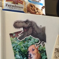 Image 4 of TREX Jurassic FRIDGE MAGNET