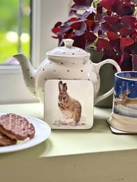 Image 1 of 'Shy Leveret' Coaster