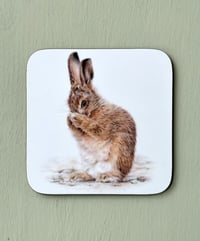 Image 2 of 'Shy Leveret' Coaster