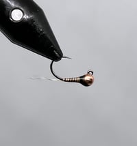 Image 5 of Quilldigon