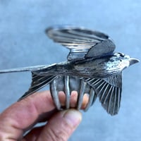 Image 3 of Birds and Bugs silversmithing workshop 2025