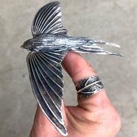 Image 11 of Birds and Bugs silversmithing workshop 2025