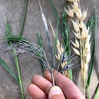 Image 6 of Fall Inspiration silversmithing workshop 2025