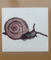 Snail Watercolor - Risoprint