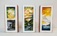 Image 2 of Tiny Triptych #1: Wild Wonderful