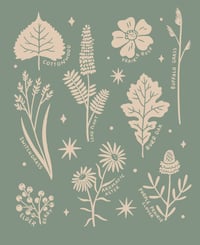 Image 3 of Great Plains Plants T-Shirt