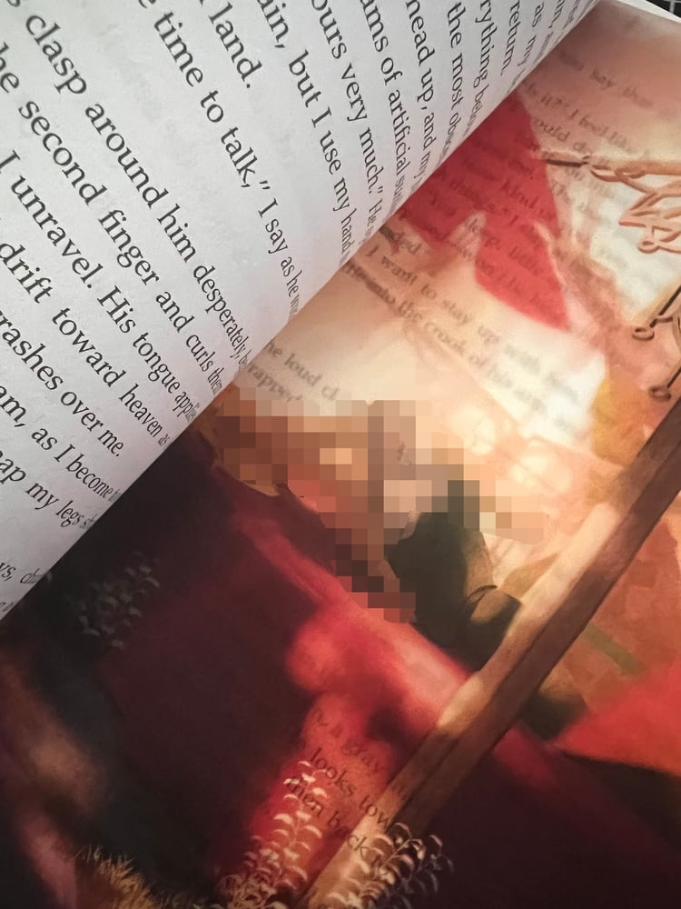 Image of Vellum Page Overlay "The Panic Room" by Listening_Stars_ -- bookish art Petra Palerno alien romance 