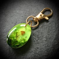 Image 1 of Green Moss and Real Toadstools Resin Keyring/Bagcharm