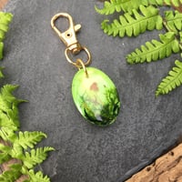 Image 2 of Green Moss and Real Toadstools Resin Keyring/Bagcharm