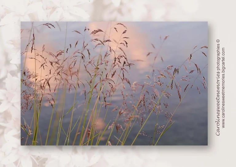 Image of Série "Sunset sur le lac"