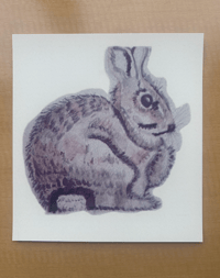 Rabbit Watercolor - Risoprint