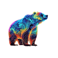 MAGIC BEAR HOODIE