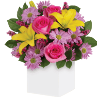 Pink and Yellow Box