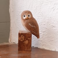 Image 1 of Simple Owl 2024