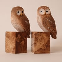 Image 4 of Simple Owl 2024