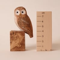 Image 2 of Simple Owl 2024